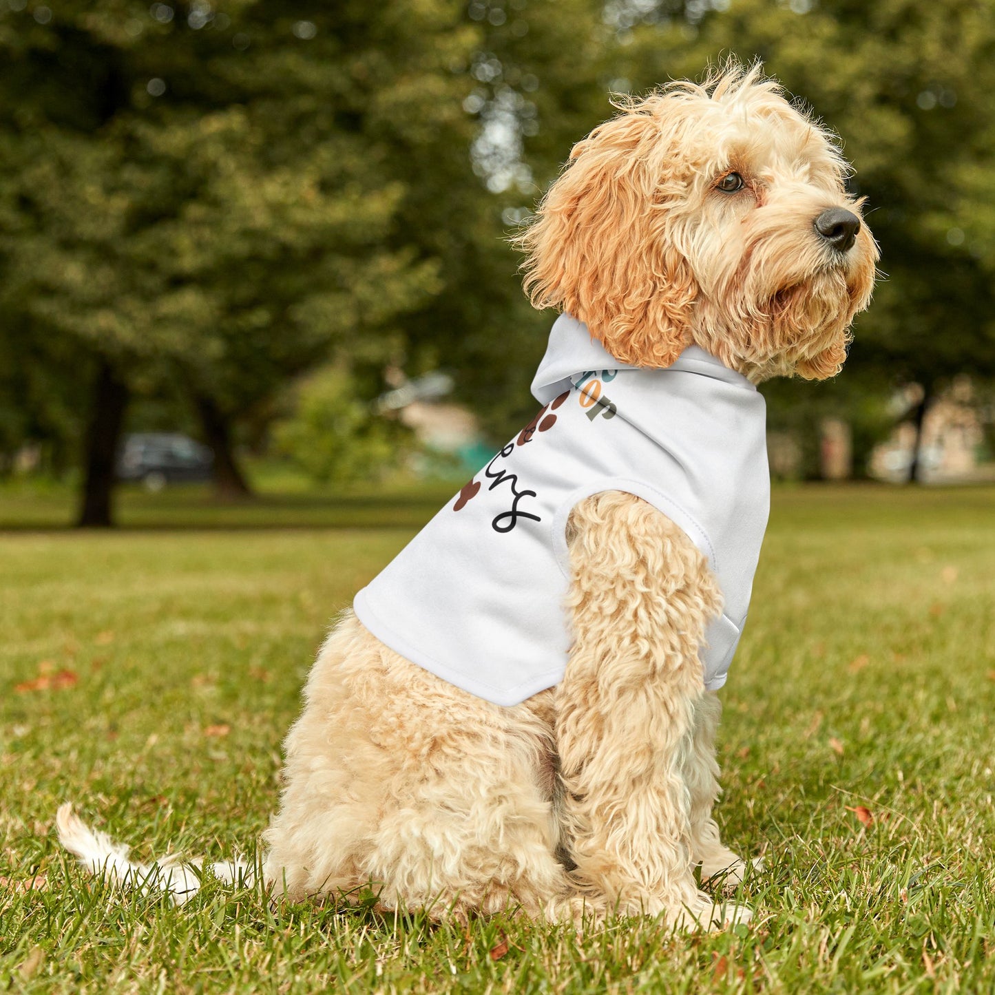 Playful Pet Hoodie - "Here for the Leftovers" Design for Dogs and Cats